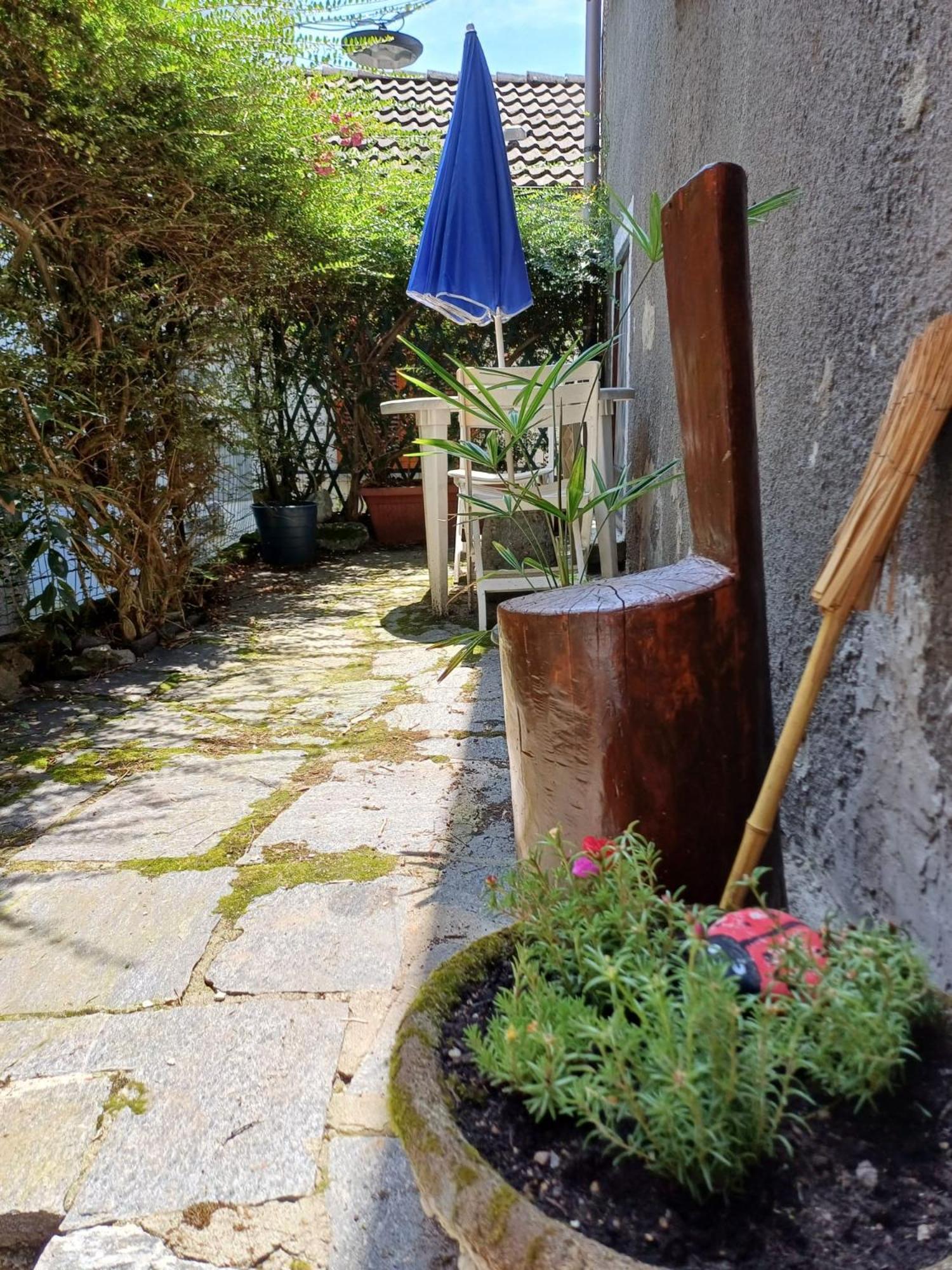 Val Grande Apartment Miazzina Zewnętrze zdjęcie